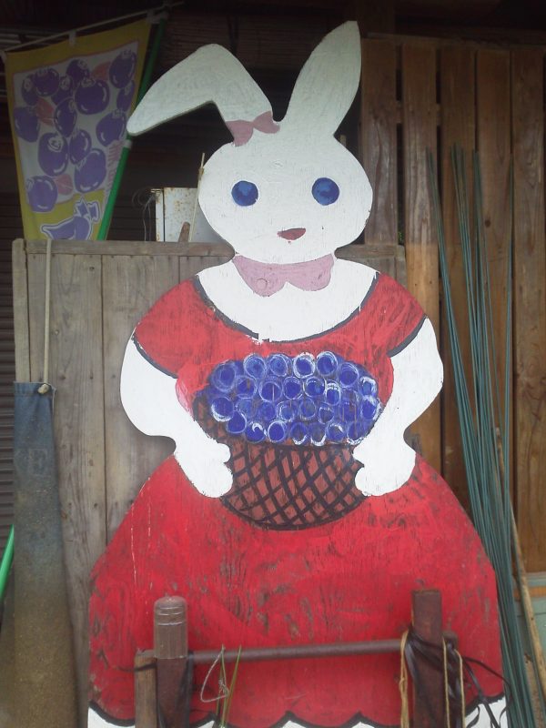 うさぎのブルーベリー園 美里町観光協会