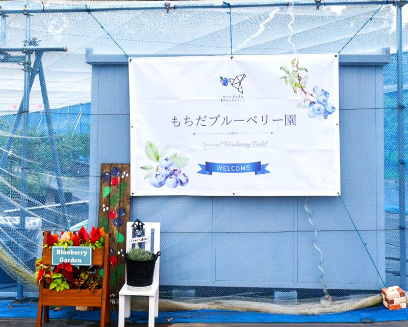 もちだブルーベリー園 | 美里町観光協会 もちだブルーベリー園 | 美里町観光協会