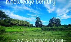 Knowledge century