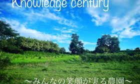 Knowledge century