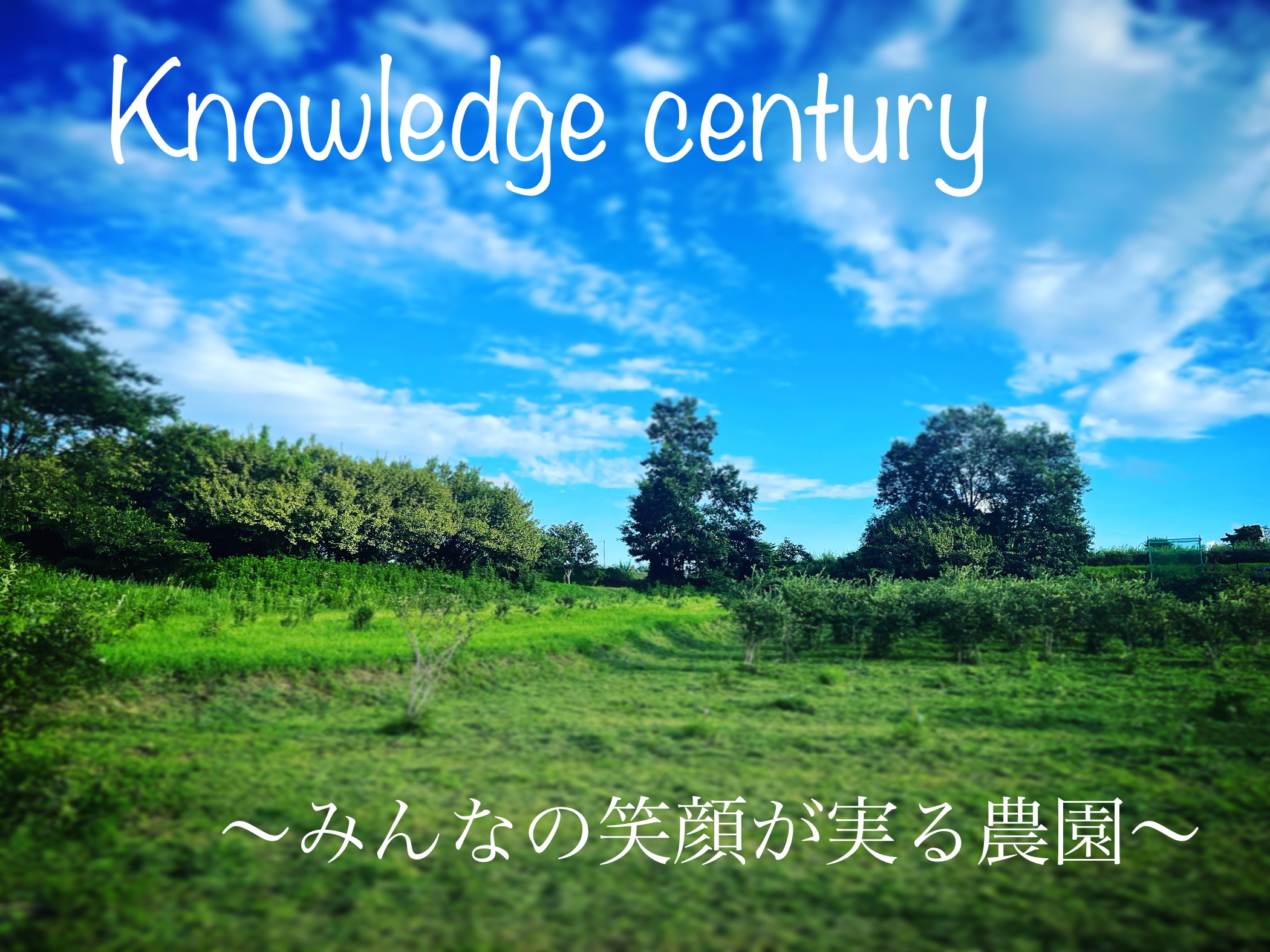 Knowledge century